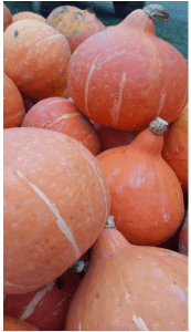 Screen Shot 2015-10-12 at 12.37.21 PM