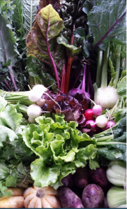 Screen Shot 2015-10-12 at 9.48.53 AM