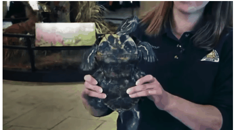 Screen Shot 2016-09-09 at 9.00.35 AM.png