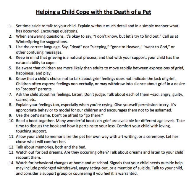 Screen Shot 2016-11-10 at 8.41.20 AM.png