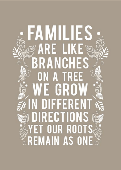 screen-shot-2016-12-31-at-8-03-09-am